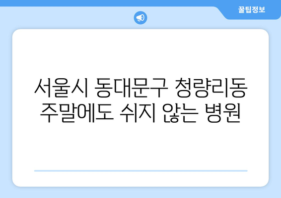 서울시 동대문구 청량리동 일요일 휴일 공휴일 야간 진료병원 리스트