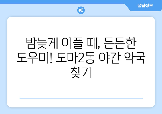 대전시 서구 도마2동 24시간 토요일 일요일 휴일 공휴일 야간 약국