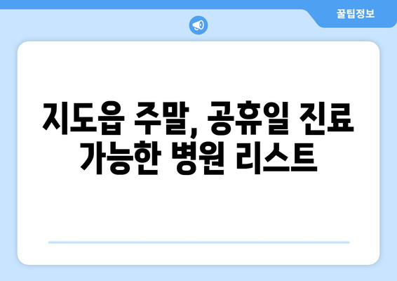 전라남도 신안군 지도읍 일요일 휴일 공휴일 야간 진료병원 리스트