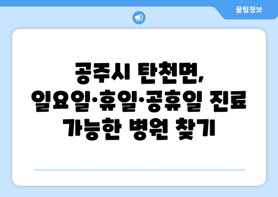 충청남도 공주시 탄천면 일요일 휴일 공휴일 야간 진료병원 리스트