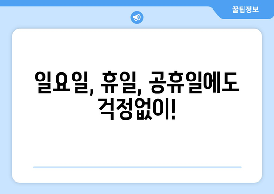 전라남도 장흥군 장평면 일요일 휴일 공휴일 야간 진료병원 리스트