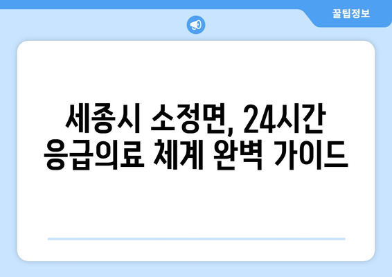 세종시 세종특별자치시 소정면 일요일 휴일 공휴일 야간 진료병원 리스트