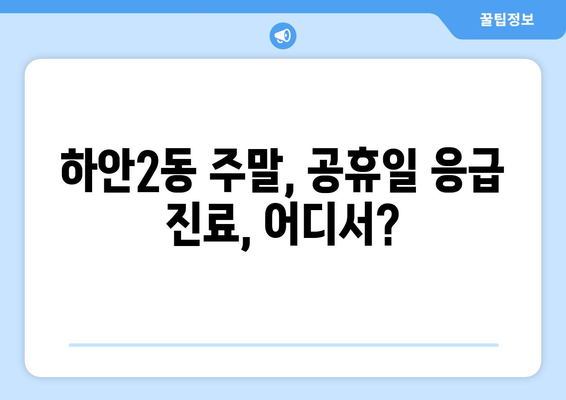 경기도 광명시 하안2동 일요일 휴일 공휴일 야간 진료병원 리스트