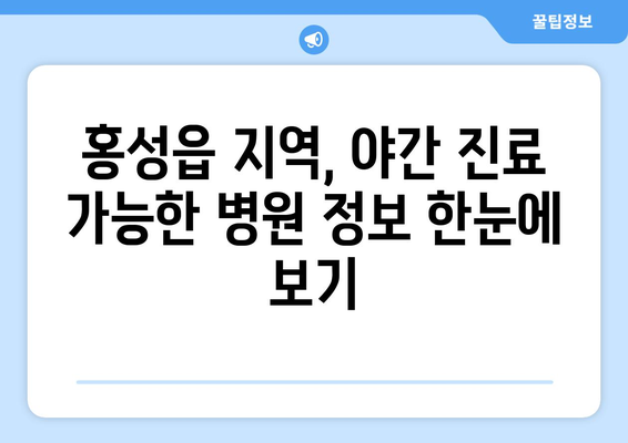 충청남도 홍성군 홍성읍 일요일 휴일 공휴일 야간 진료병원 리스트