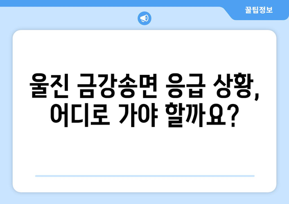 경상북도 울진군 금강송면 일요일 휴일 공휴일 야간 진료병원 리스트