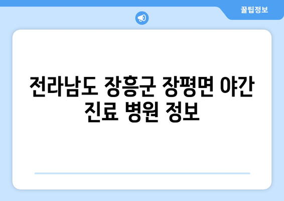 전라남도 장흥군 장평면 일요일 휴일 공휴일 야간 진료병원 리스트