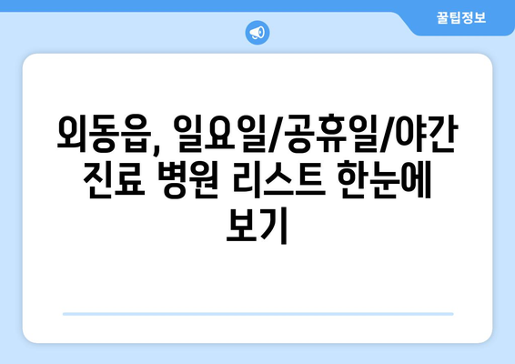 경상북도 경주시 외동읍 일요일 휴일 공휴일 야간 진료병원 리스트