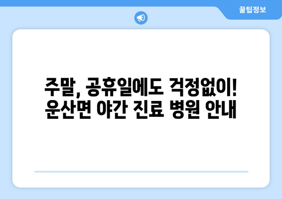 충청남도 서산시 운산면 일요일 휴일 공휴일 야간 진료병원 리스트