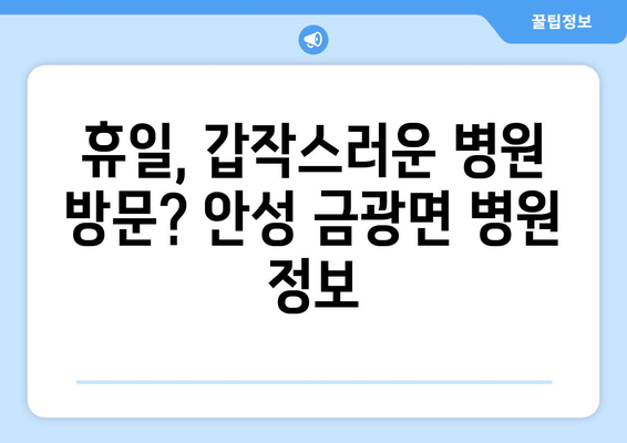 경기도 안성시 금광면 일요일 휴일 공휴일 야간 진료병원 리스트