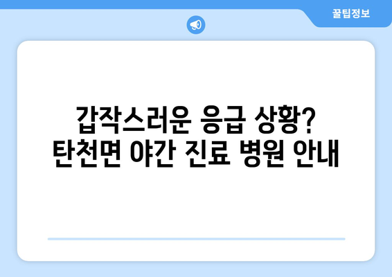 충청남도 공주시 탄천면 일요일 휴일 공휴일 야간 진료병원 리스트