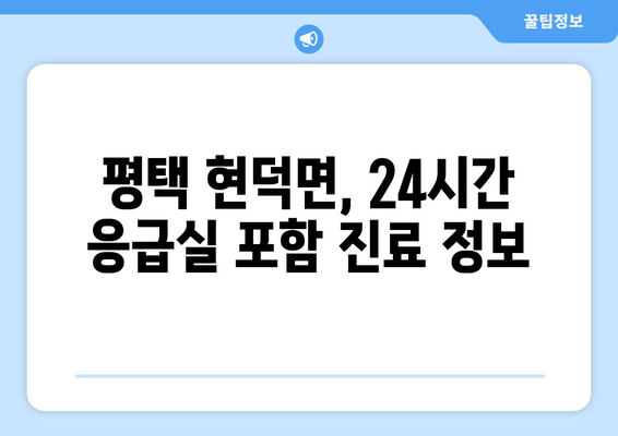 경기도 평택시 현덕면 일요일 휴일 공휴일 야간 진료병원 리스트