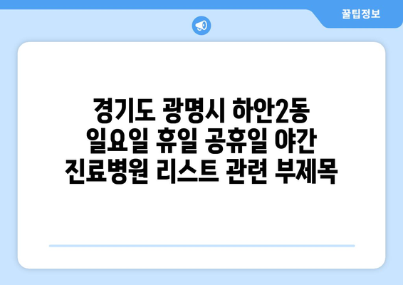 경기도 광명시 하안2동 일요일 휴일 공휴일 야간 진료병원 리스트