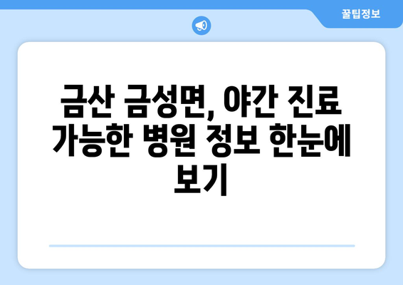 충청남도 금산군 금성면 일요일 휴일 공휴일 야간 진료병원 리스트