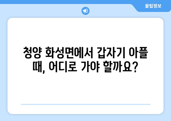 충청남도 청양군 화성면 일요일 휴일 공휴일 야간 진료병원 리스트