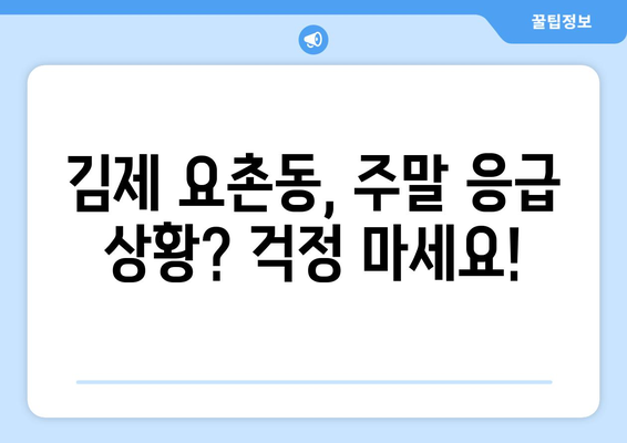 전라북도 김제시 요촌동 일요일 휴일 공휴일 야간 진료병원 리스트