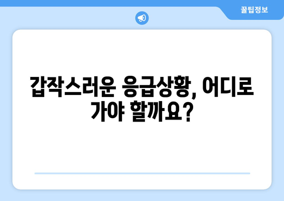 경상남도 진주시 정촌면 일요일 휴일 공휴일 야간 진료병원 리스트