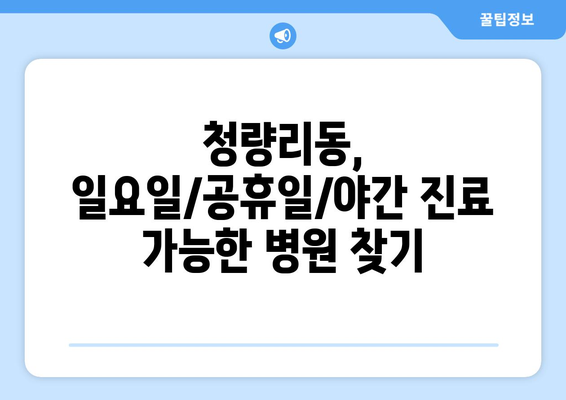 서울시 동대문구 청량리동 일요일 휴일 공휴일 야간 진료병원 리스트