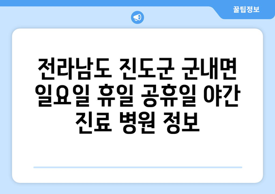 전라남도 진도군 군내면 일요일 휴일 공휴일 야간 진료병원 리스트