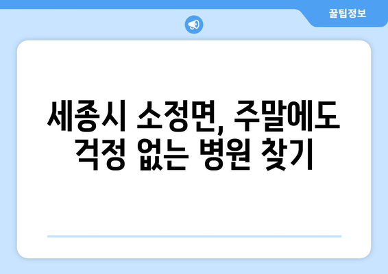 세종시 세종특별자치시 소정면 일요일 휴일 공휴일 야간 진료병원 리스트