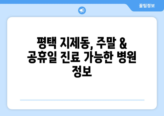 경기도 평택시 지제동 일요일 휴일 공휴일 야간 진료병원 리스트