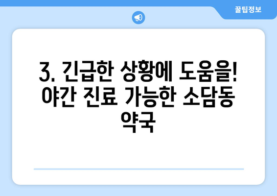 세종시 세종특별자치시 소담동 24시간 토요일 일요일 휴일 공휴일 야간 약국