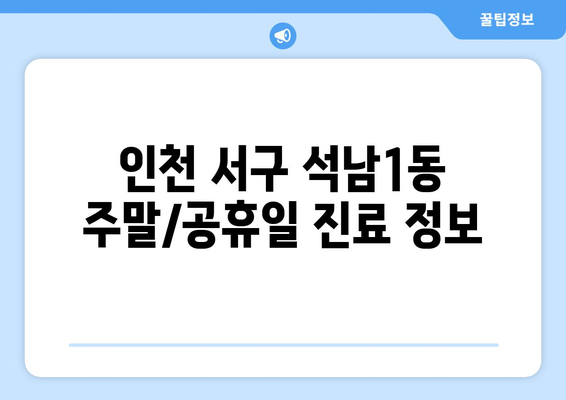 인천시 서구 석남1동 일요일 휴일 공휴일 야간 진료병원 리스트