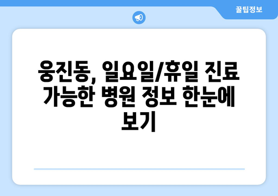 충청남도 공주시 웅진동 일요일 휴일 공휴일 야간 진료병원 리스트