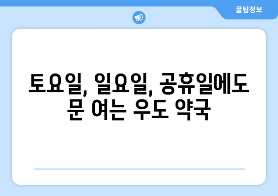 제주도 제주시 우도면 24시간 토요일 일요일 휴일 공휴일 야간 약국