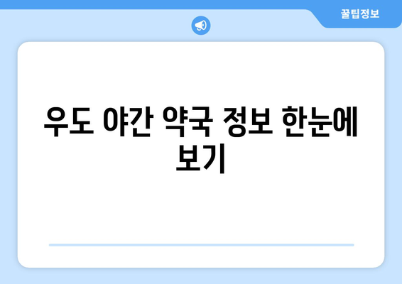 제주도 제주시 우도면 24시간 토요일 일요일 휴일 공휴일 야간 약국