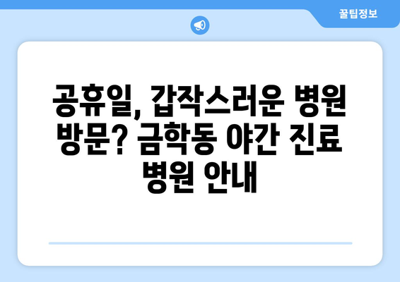 충청남도 공주시 금학동 일요일 휴일 공휴일 야간 진료병원 리스트