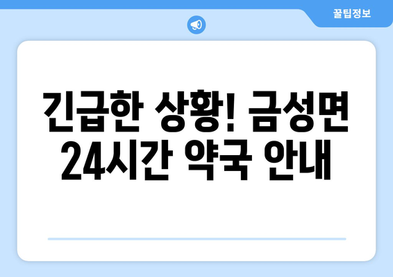 충청남도 금산군 금성면 24시간 토요일 일요일 휴일 공휴일 야간 약국