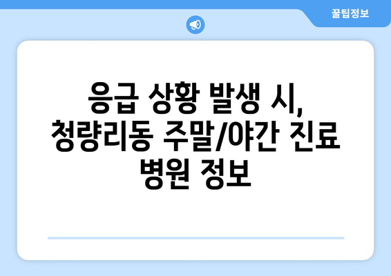 서울시 동대문구 청량리동 일요일 휴일 공휴일 야간 진료병원 리스트