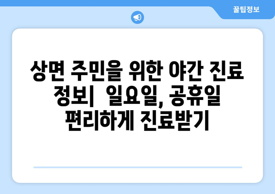 경기도 가평군 상면 일요일 휴일 공휴일 야간 진료병원 리스트