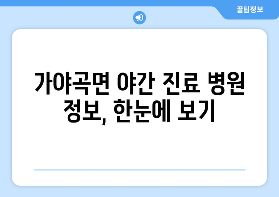 충청남도 논산시 가야곡면 일요일 휴일 공휴일 야간 진료병원 리스트