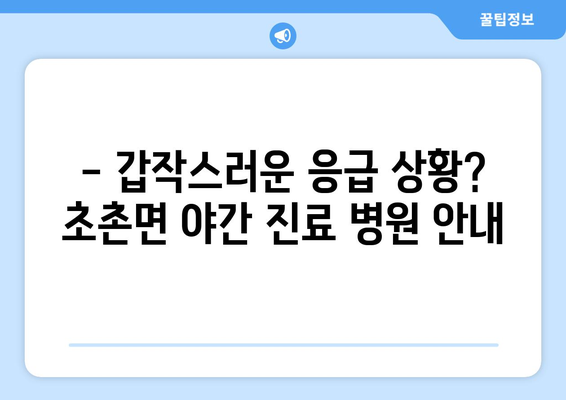 충청남도 부여군 초촌면 일요일 휴일 공휴일 야간 진료병원 리스트