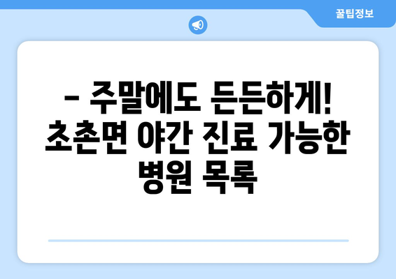 충청남도 부여군 초촌면 일요일 휴일 공휴일 야간 진료병원 리스트