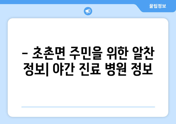 충청남도 부여군 초촌면 일요일 휴일 공휴일 야간 진료병원 리스트