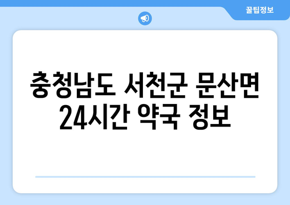 충청남도 서천군 문산면 24시간 토요일 일요일 휴일 공휴일 야간 약국