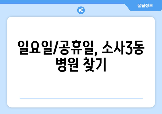 경기도 부천시 소사3동 일요일 휴일 공휴일 야간 진료병원 리스트