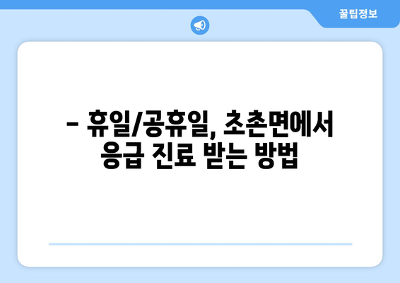 충청남도 부여군 초촌면 일요일 휴일 공휴일 야간 진료병원 리스트