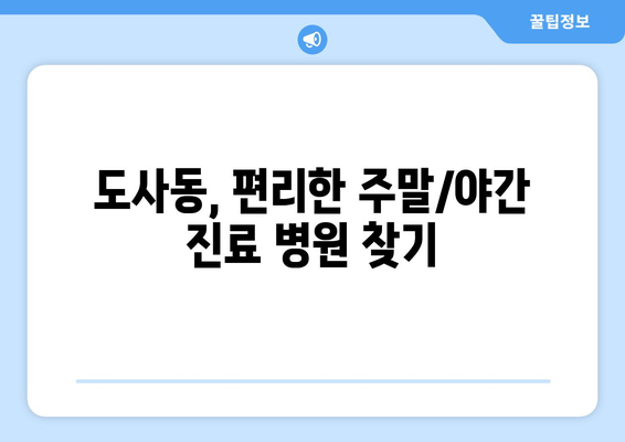 전라남도 순천시 도사동 일요일 휴일 공휴일 야간 진료병원 리스트