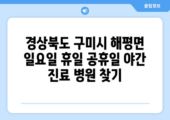 경상북도 구미시 해평면 일요일 휴일 공휴일 야간 진료병원 리스트