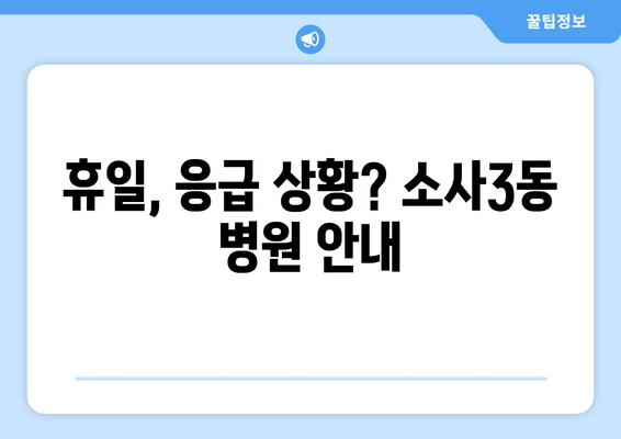 경기도 부천시 소사3동 일요일 휴일 공휴일 야간 진료병원 리스트