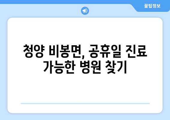 충청남도 청양군 비봉면 일요일 휴일 공휴일 야간 진료병원 리스트