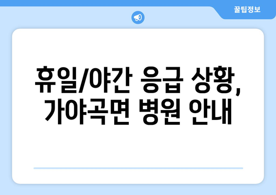 충청남도 논산시 가야곡면 일요일 휴일 공휴일 야간 진료병원 리스트