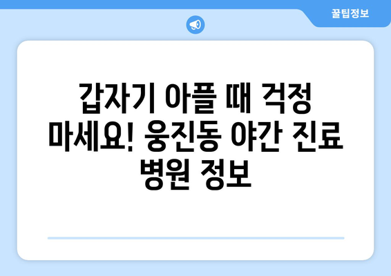 충청남도 공주시 웅진동 일요일 휴일 공휴일 야간 진료병원 리스트