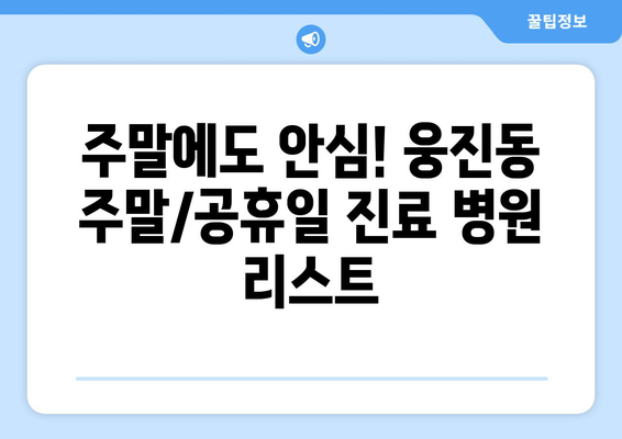 충청남도 공주시 웅진동 일요일 휴일 공휴일 야간 진료병원 리스트