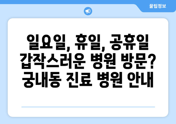 경기도 군포시 궁내동 일요일 휴일 공휴일 야간 진료병원 리스트