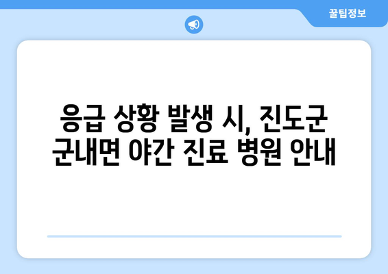 전라남도 진도군 군내면 일요일 휴일 공휴일 야간 진료병원 리스트