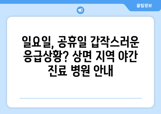 경기도 가평군 상면 일요일 휴일 공휴일 야간 진료병원 리스트